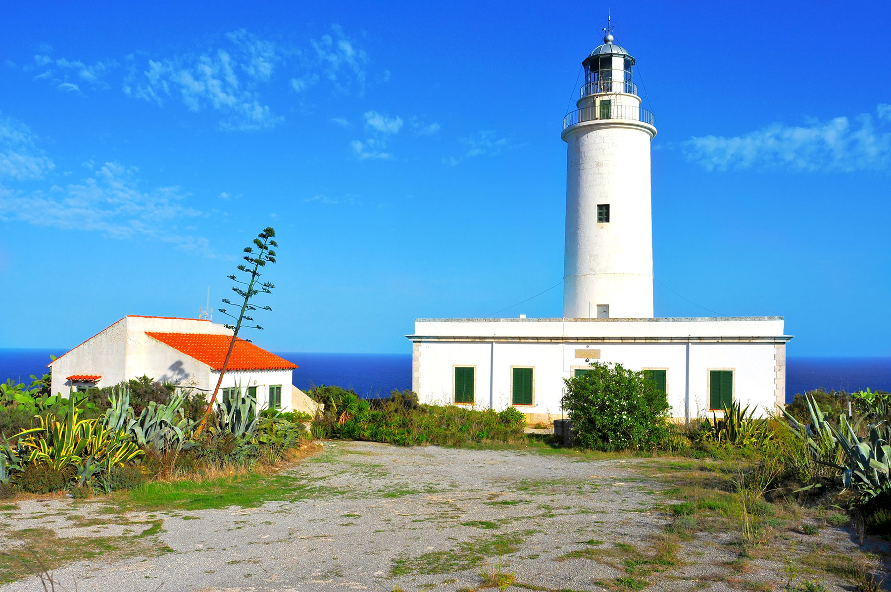 formentera bus